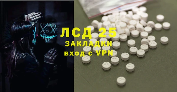стаф Алексин