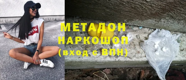 стаф Алексин