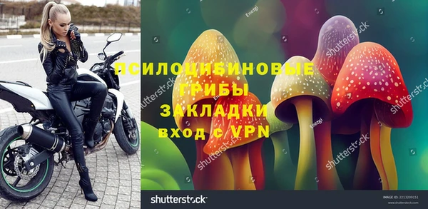 spice Абинск