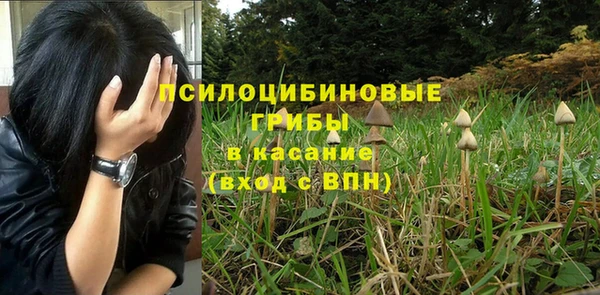 ALPHA PVP Алзамай