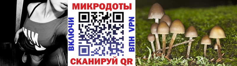 Галлюциногенные грибы Magic Shrooms  цены   Балашиха 