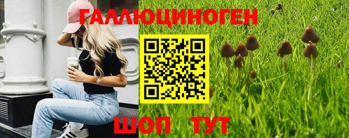 Галлюциногенные грибы мухоморы  где продают   Галлюциногенные грибы мицелий  Балашиха  Вход с VPN 