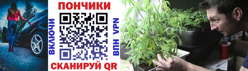 Шишки марихуана White Widow  цены   Балашиха 